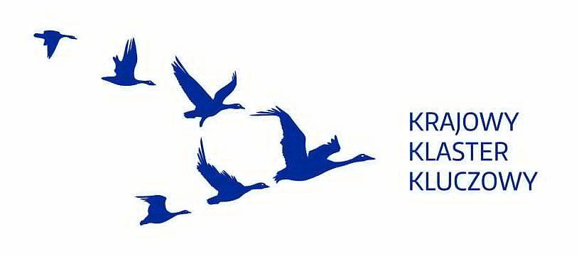 Krajowy-Klaster-Kluczowy